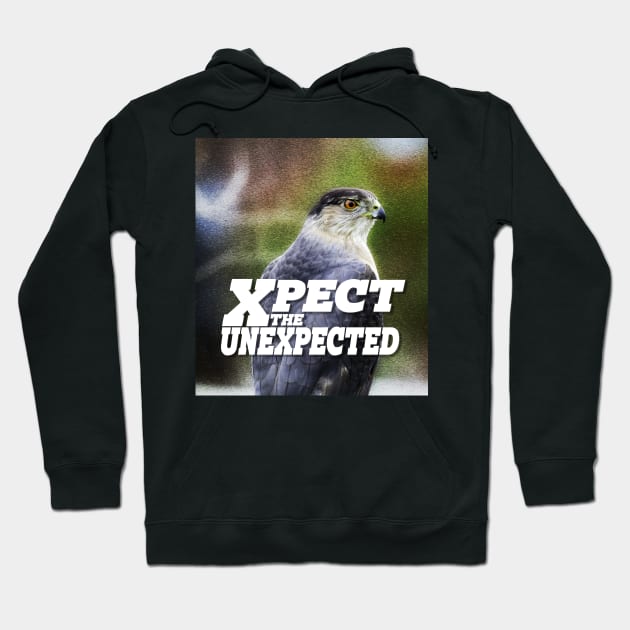 Xpect the Unexpected Hawk Hoodie by Ripples of Time